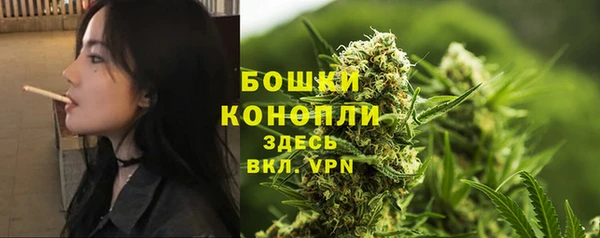 гидропоника Белокуриха