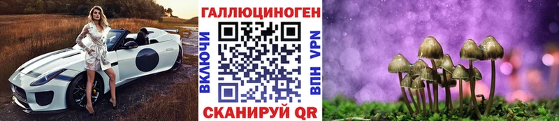 МЕГА рабочий сайт  Котлас  Галлюциногенные грибы Magic Shrooms 